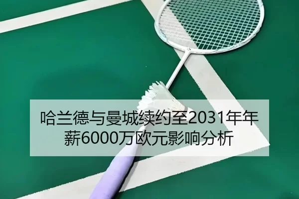 ha-lan-de-yu-man-cheng-xu-yue-zhi-nian-nian-xin-wan-ou-yuan-ying-xiang-fen-xi-3-287.jpg